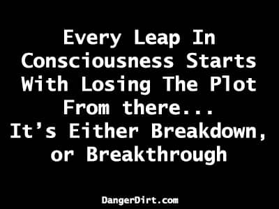 Every Leap In Consciousness Starts With Losing The Plot. From there... Itโs Either Breakdown, or Breakthrough